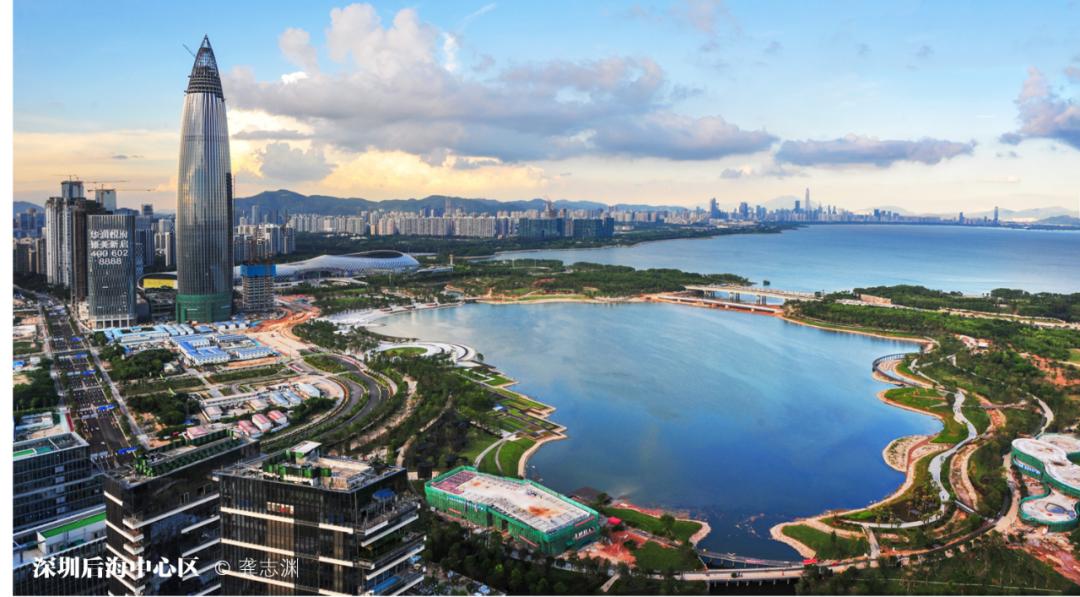 深圳湾在哪里,深圳湾是什么区的