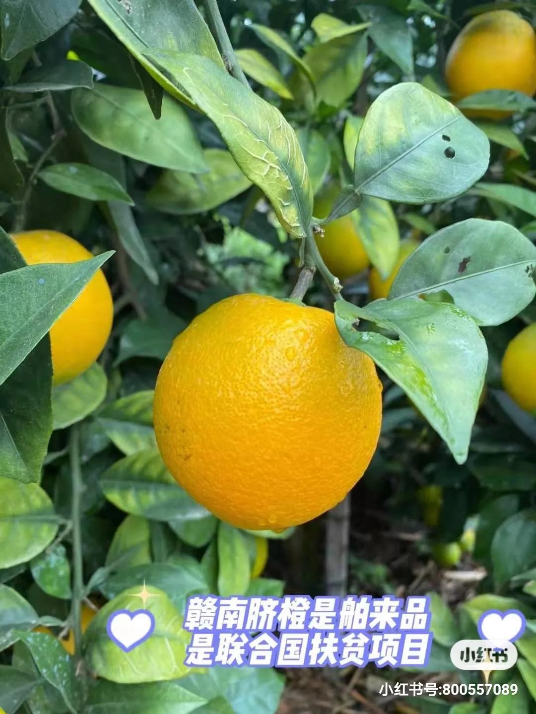 离城市很近离太阳很远,离城市很远离太阳很近的城市