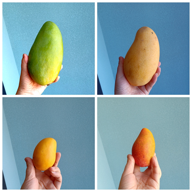 哪些人吃芒果最好吃,什么芒果最好吃口感最好