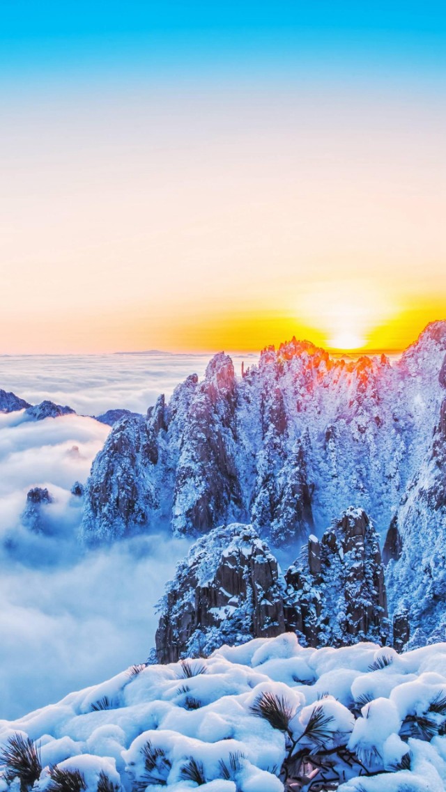 期货交易耐心等待,期货耐心等待的最高境界