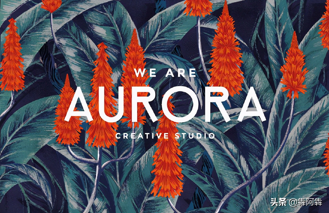 aurora极光日式,aurora极光logo