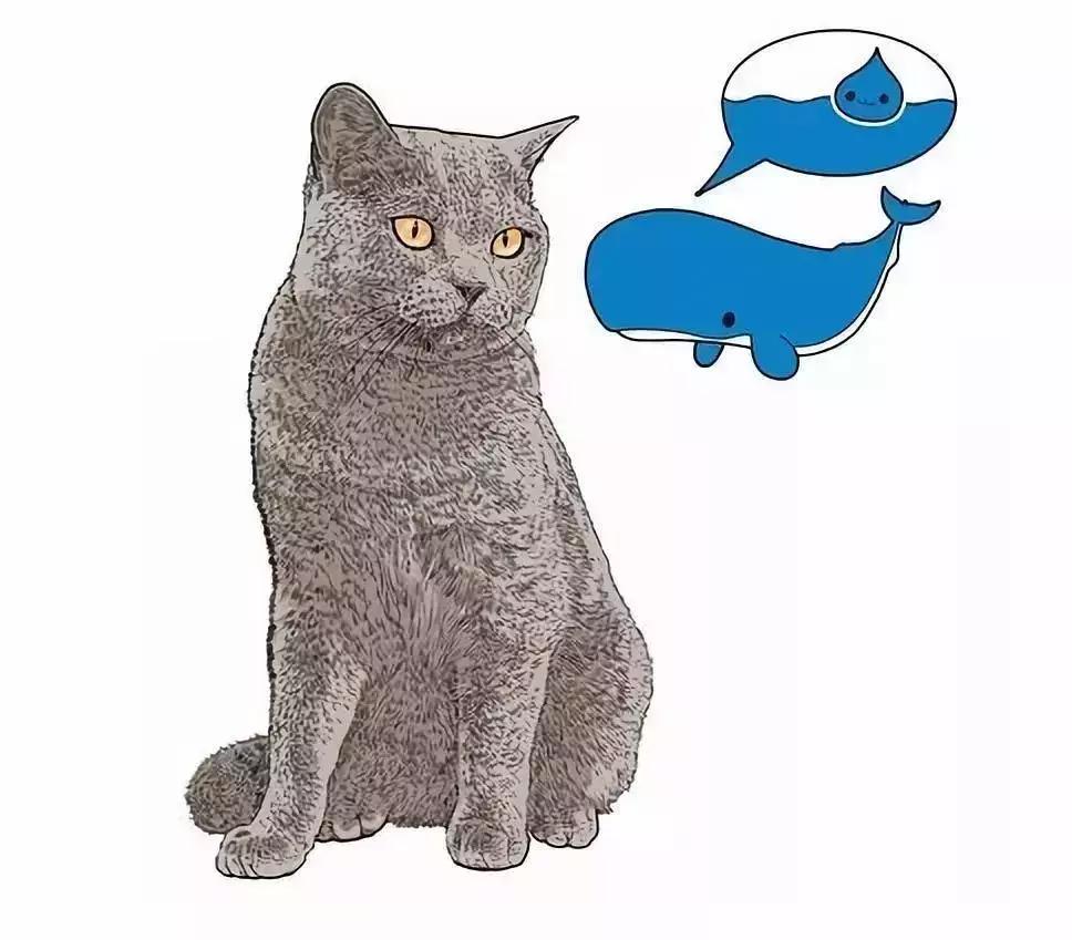 解析女性的各种*梦春**——是否有一种你做过？