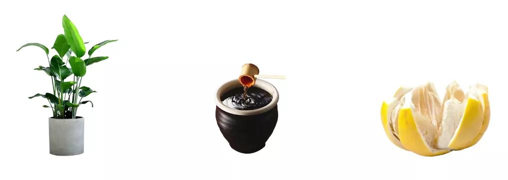 为什么除甲醛之前要关门窗,室内除甲醛杀手