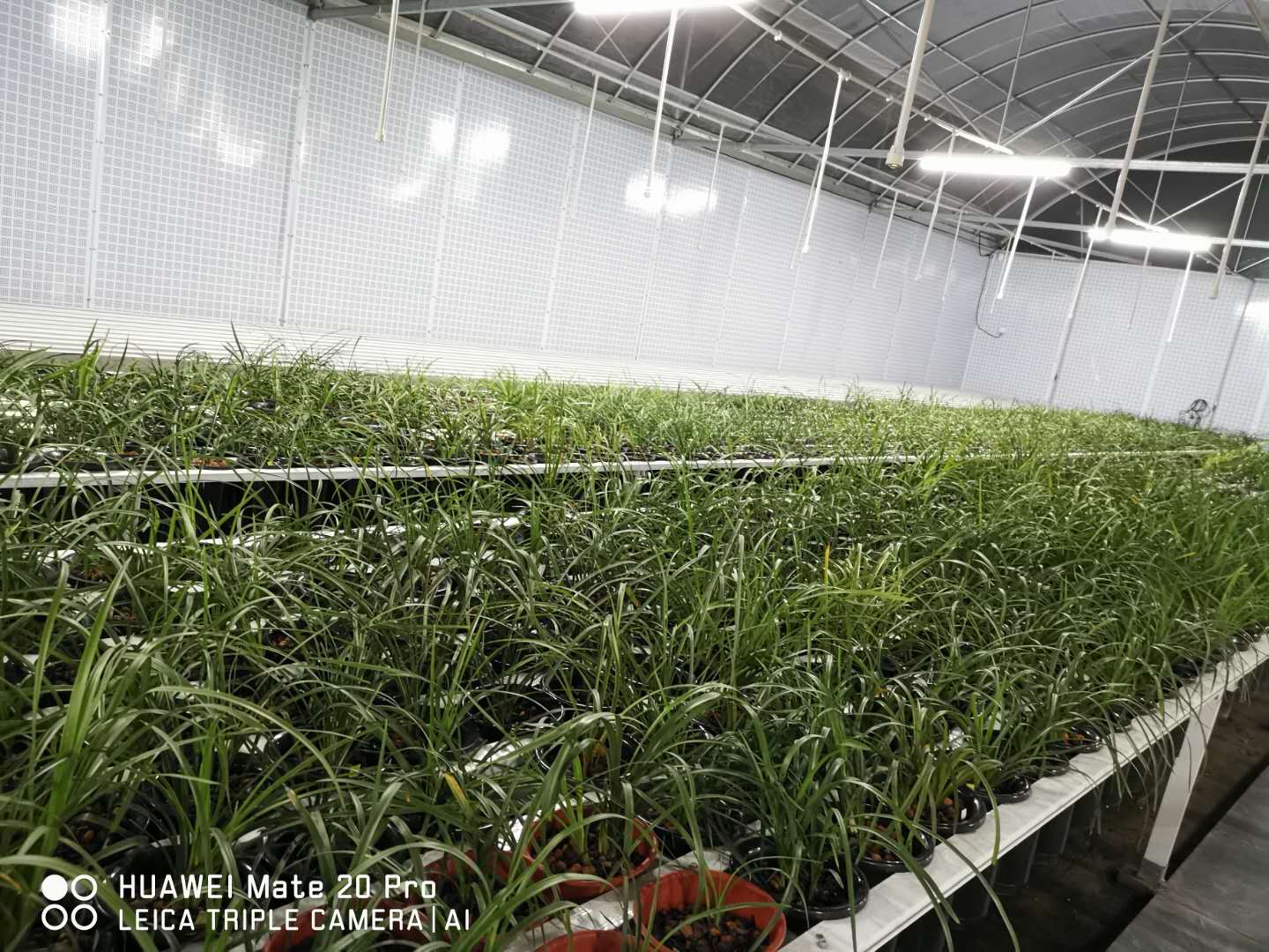 有惊无险的一天的记录,一次有惊无险的经历朋友圈