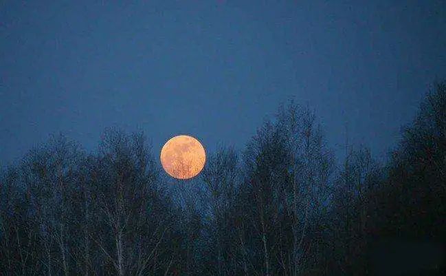 海上明月共潮生诗词,海上生明月诗词全文