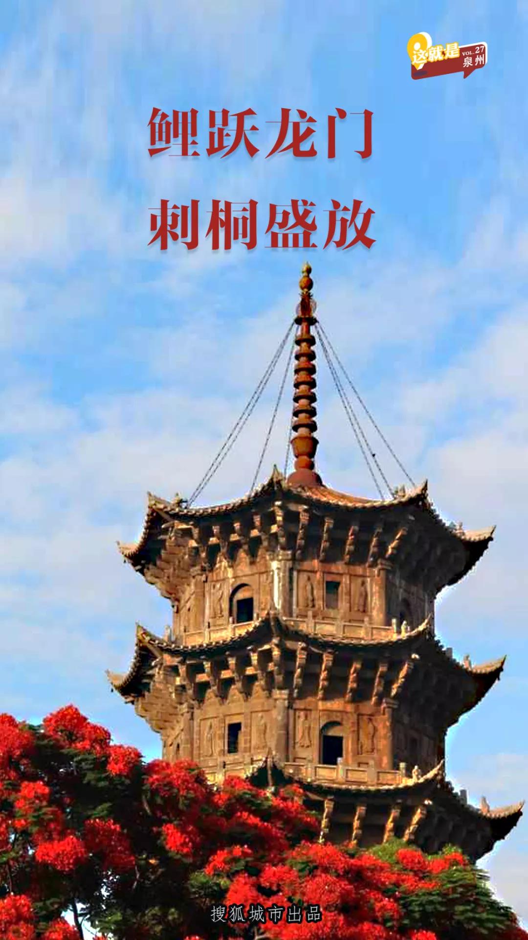 泉州，你可真是太拼了