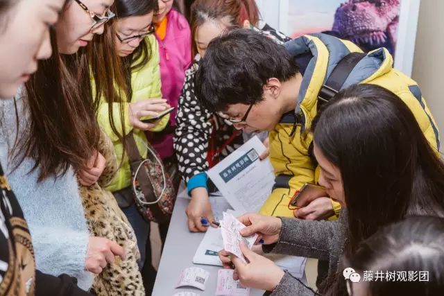 藤井树哪个电影最好看,藤井树观影团公司在哪里