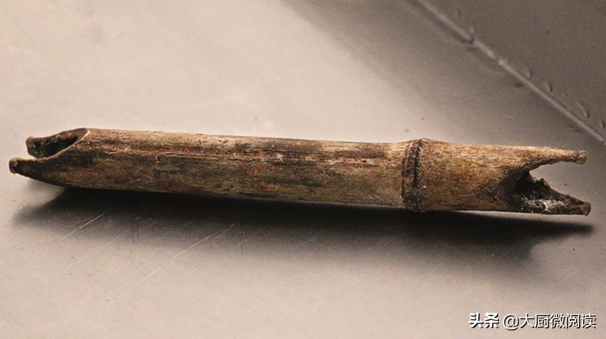 四大名鸡绝密配方,中国四大名鸡种排名