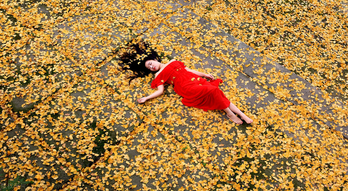 门前种五树是哪五树,院中栽五树是哪五树