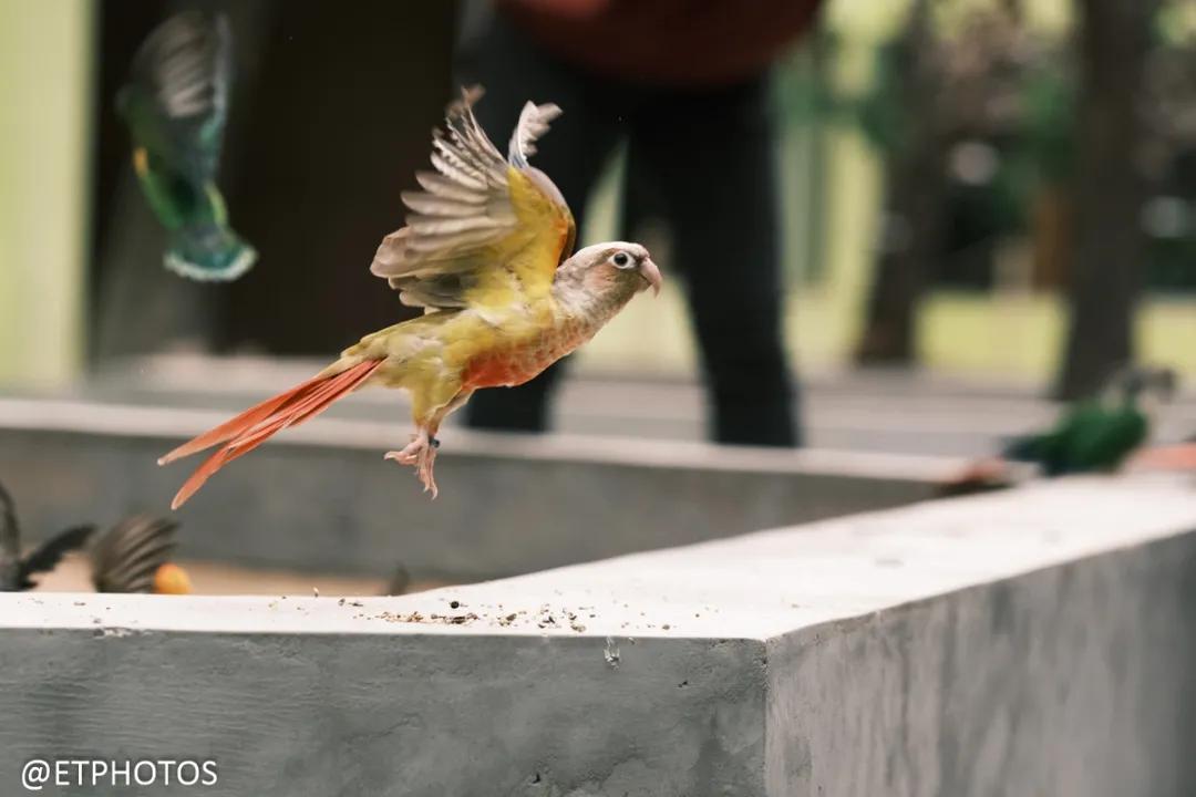 万元内微单相机全画幅,万元以内微单套机推荐