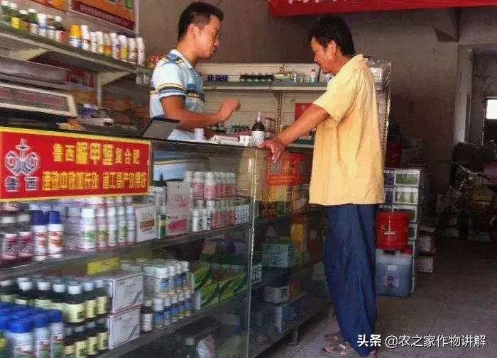 拍脑袋做决策的好处,拍脑袋做事情