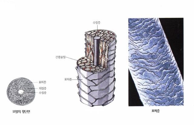 头发稀少怎么能防脱发,头发稀疏的补救方法假发
