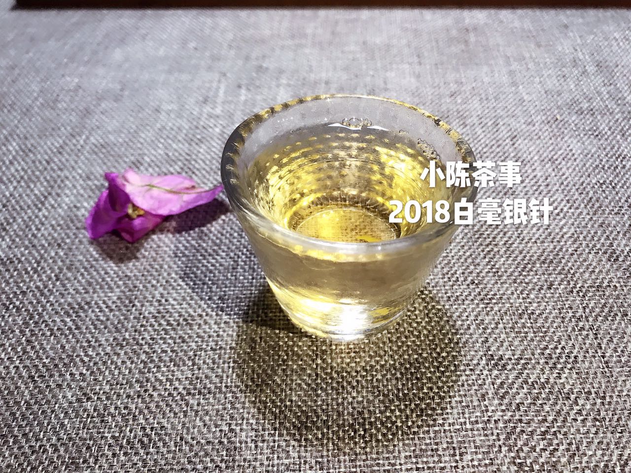 好喝的白茶的滋味,好喝的白茶视频