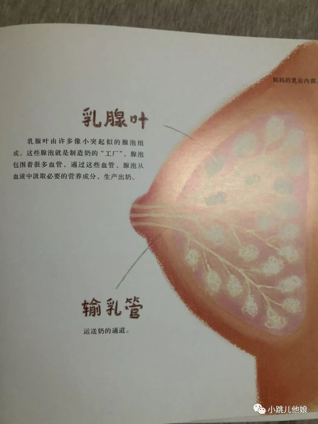 善解童贞的十大原则,善解童贞十大原则