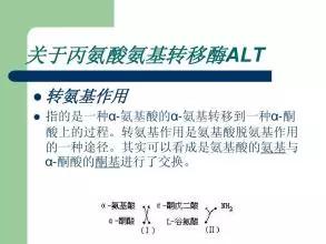 肝功能检测指标里有几个酶,肝功能血液化验单各项指标的意义