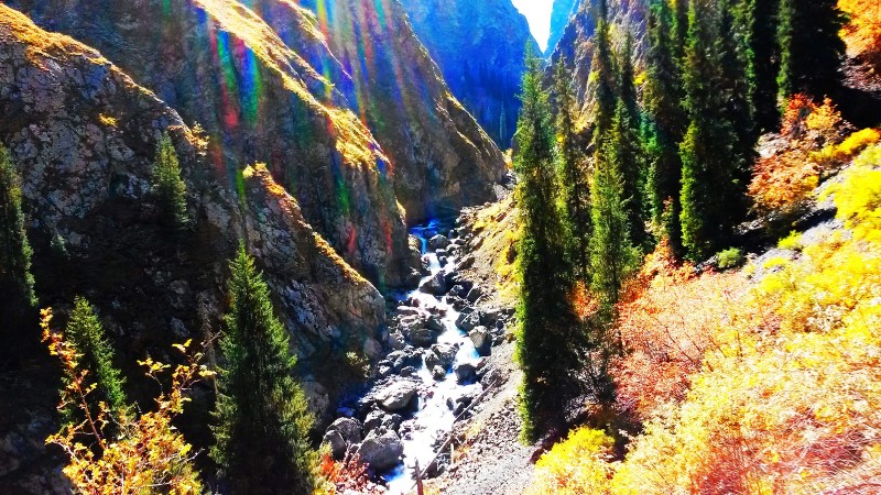 带上UL从狼塔C回家