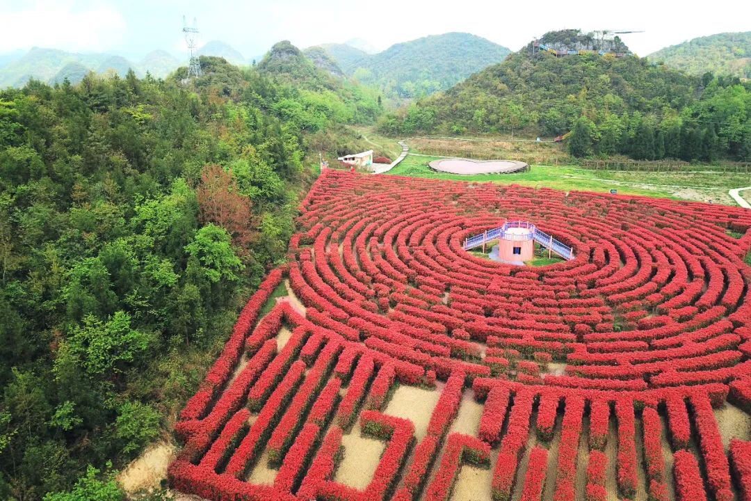 贵州有好多景点,贵州今年比较火的景点