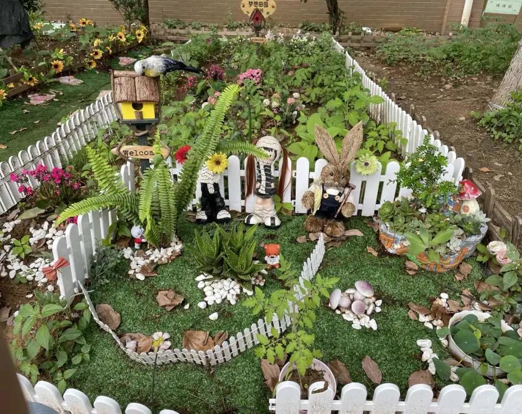 最美的风景美丽的校园,最美的风景就是校园