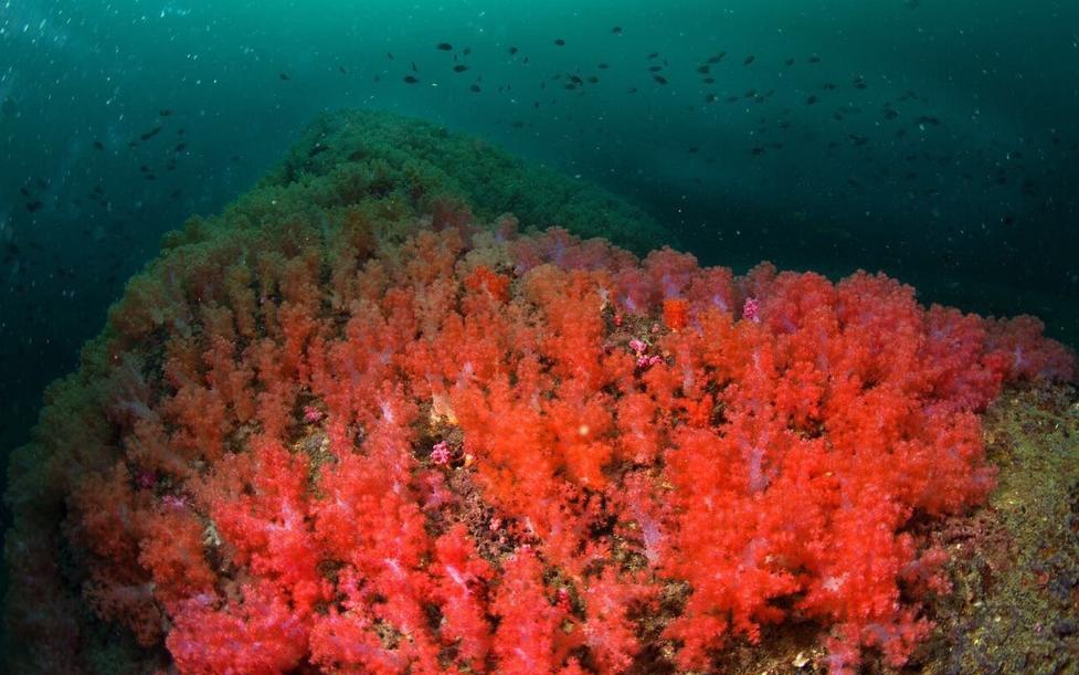 距离珠海最近的岛屿,珠海马尔代夫海岛