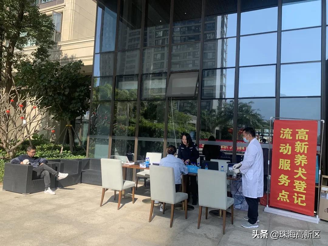 铲屎官请注意文明养犬妙招看这里,铲屎官养狗必看知识