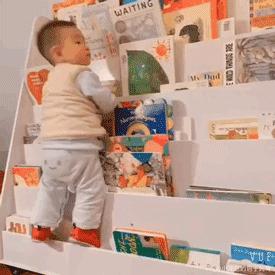 生活需要仪式感书籍视频,家庭绘本收纳方法