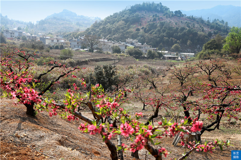 80后放弃广州高薪回家创业,放弃深圳高薪回家农村创业