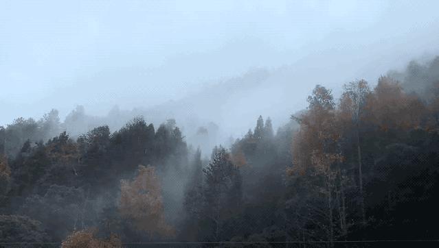 比乌镇安静比南浔古朴,藏不住了这里有最炫秋色