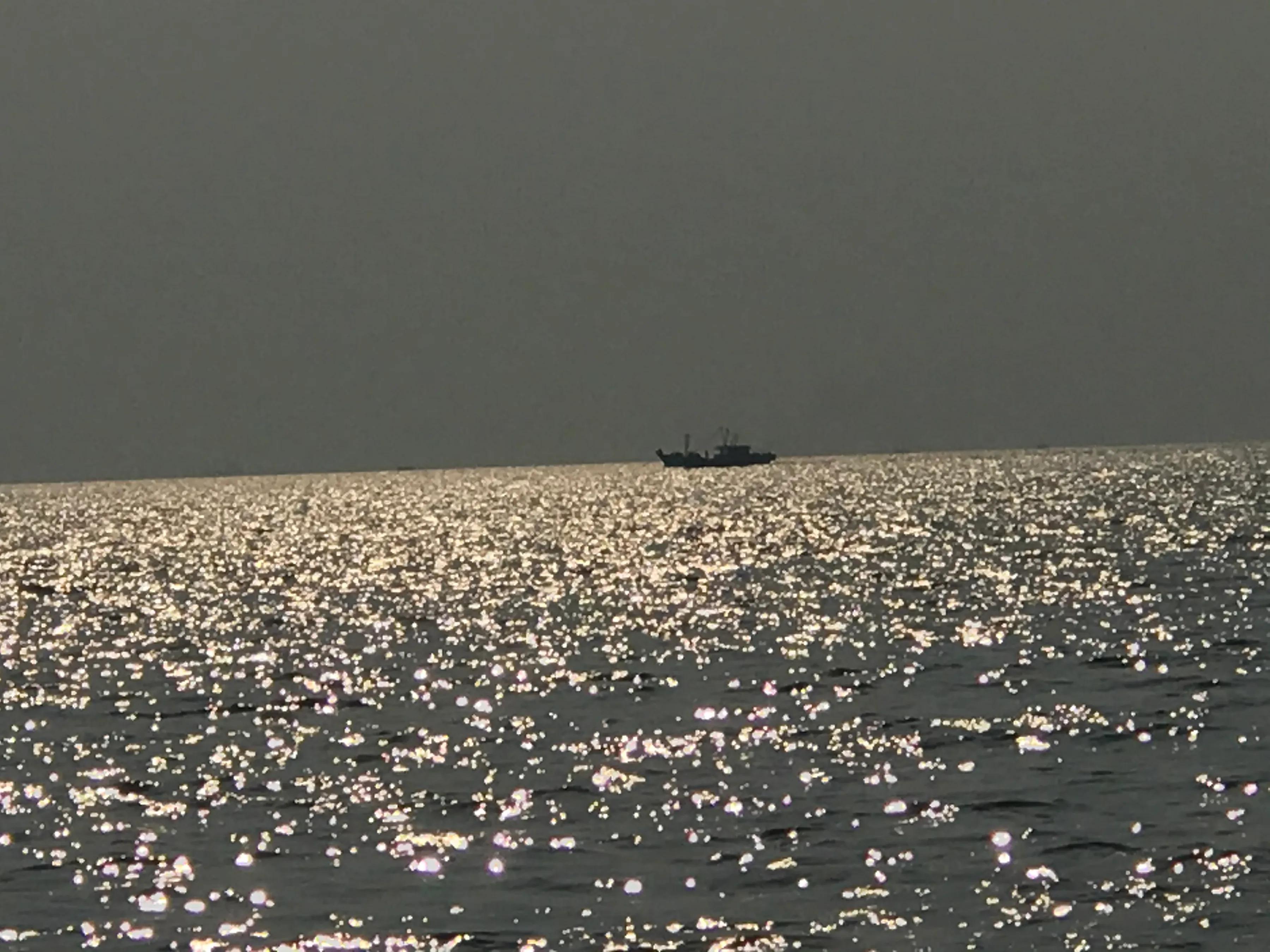 营口北海海洋公园免门票,营口北海海洋公园简介