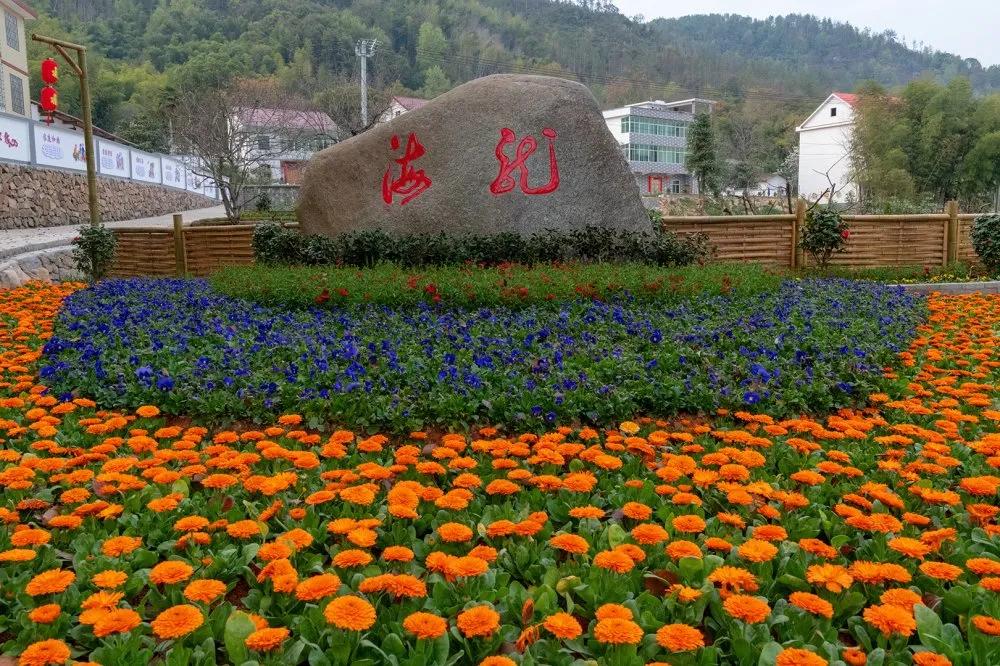 【谁不说咱家乡美】美丽中国，“乡”约万安（河西片）