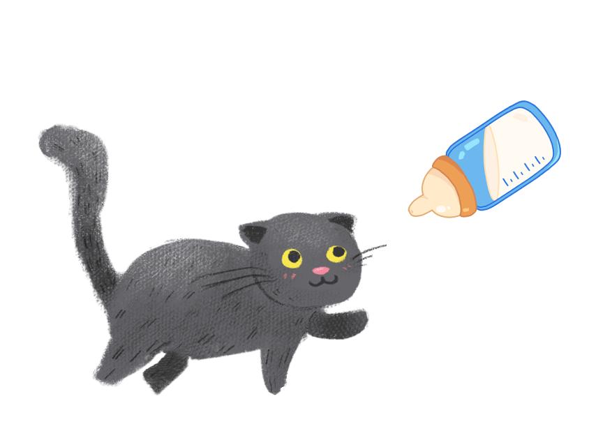 橘猫幼猫喂养指南,幼猫很活泼就是不吃东西