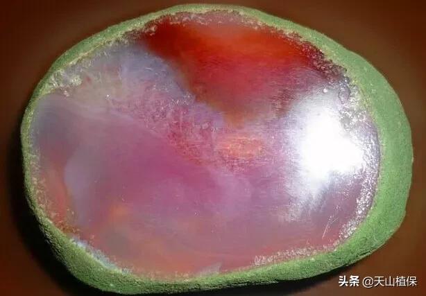 怎么捡到价值极高的石头,捡到一块石头价值千万