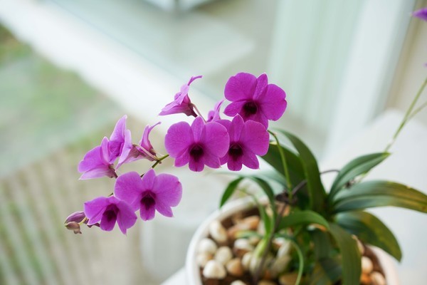 三亚休闲度假旅游攻略推荐,三亚休闲度假旅游攻略