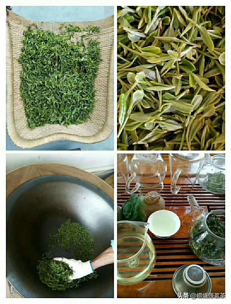 优质崂山绿茶特点,最好的崂山绿茶推荐品种