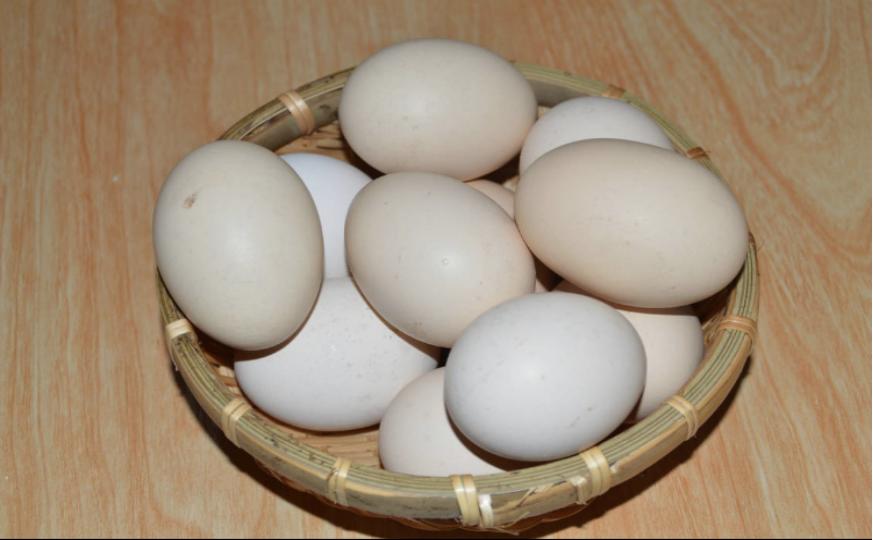 红壳鸡蛋和白壳鸡有啥区别,鸡蛋是绿壳红壳还是白壳好