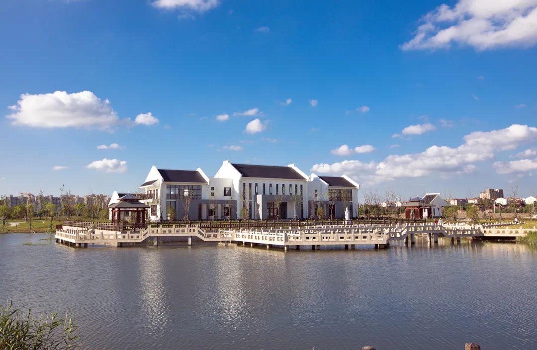 奉贤金汇值不值得买,奉贤金汇为什么有发展