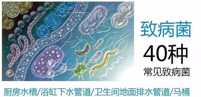 厕所堵住请师傅多少钱,厕所下水道堵了叫人疏通多少钱