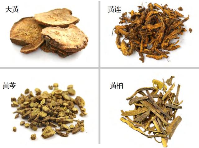 药象体会！（深解黄芩黄连黄柏附子麻黄石膏大黄）