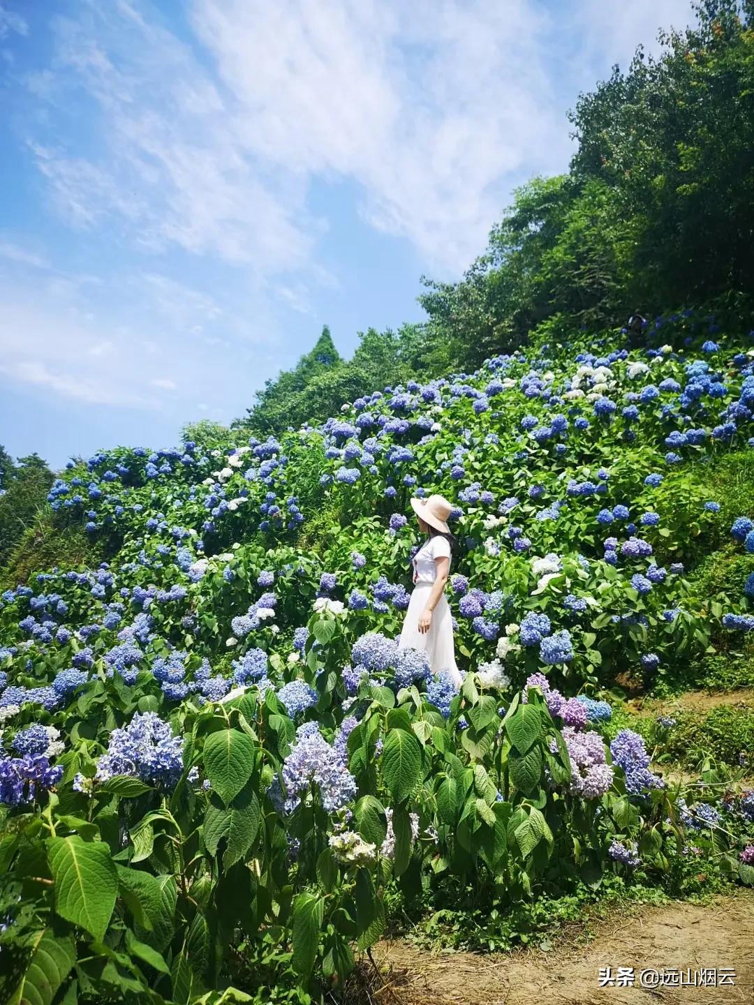 自拍杆遥控器怎么使用,手机自拍杆怎样使用