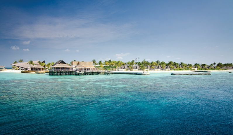 马尔代夫卓美亚德瓦娜芙希岛,马尔代夫哈拉薇莉岛旅游攻略