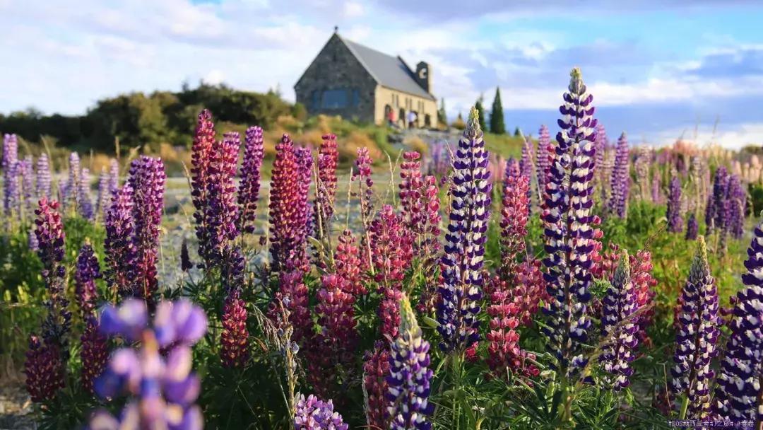 2019各国海关入境禁止携带物品,中国入境携带东西限制