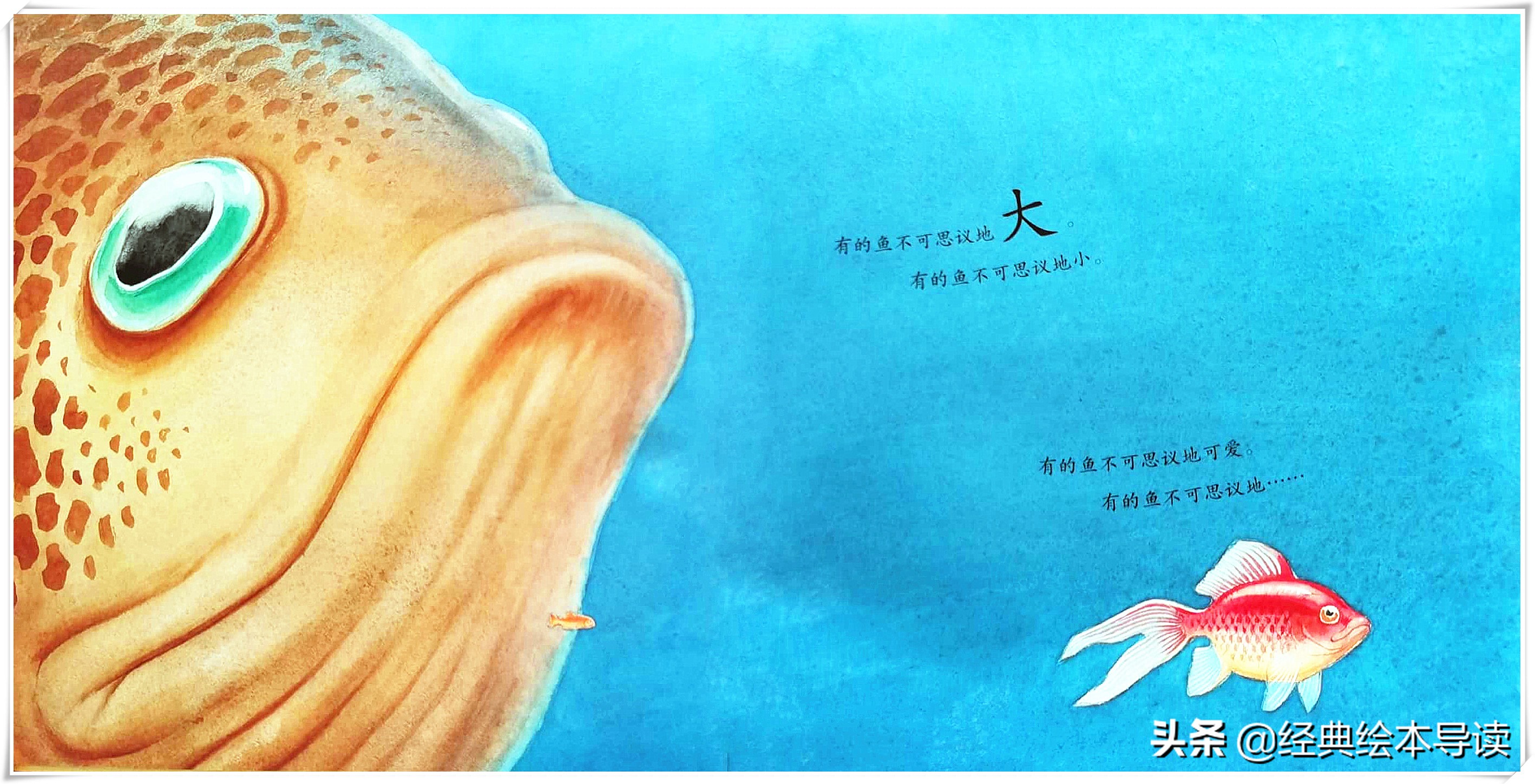 世界因此而改变——《一条聪明的鱼》导读