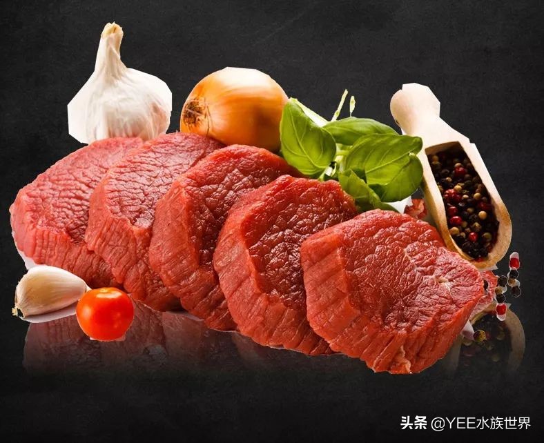 鱼平时喂饲料吃什么改善,鱼不喂饲料喂什么好养