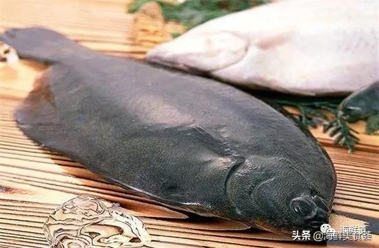 102种海鲜,营养丰富的海鲜有哪些品种