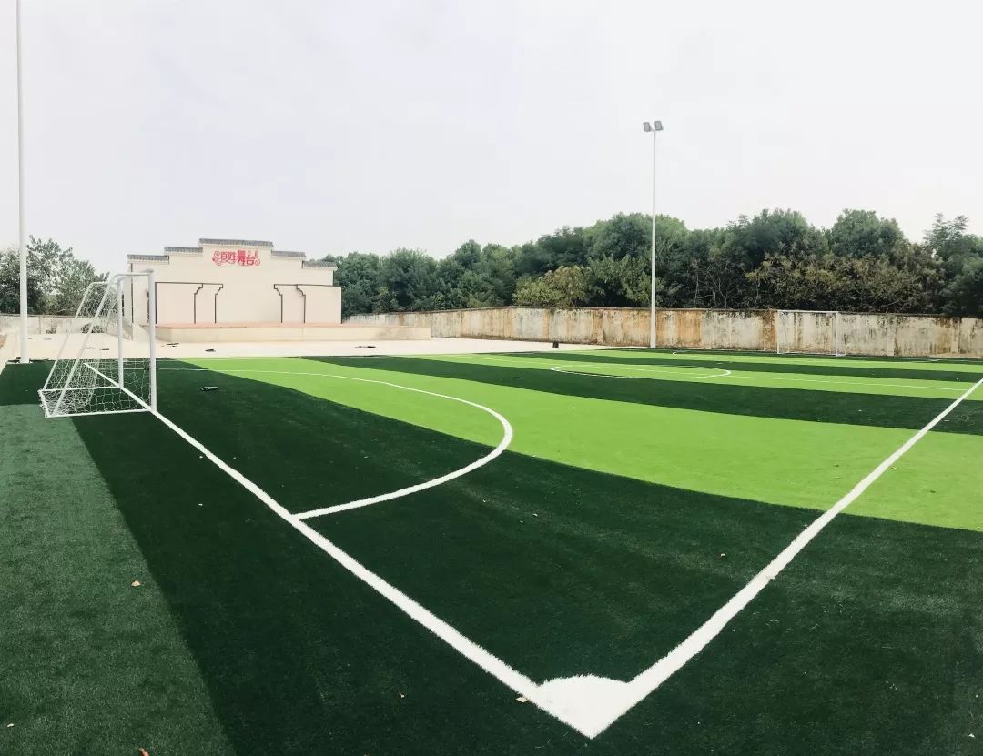 武汉江夏藏龙岛最新消息,藏龙岛管委会体育公园足球场