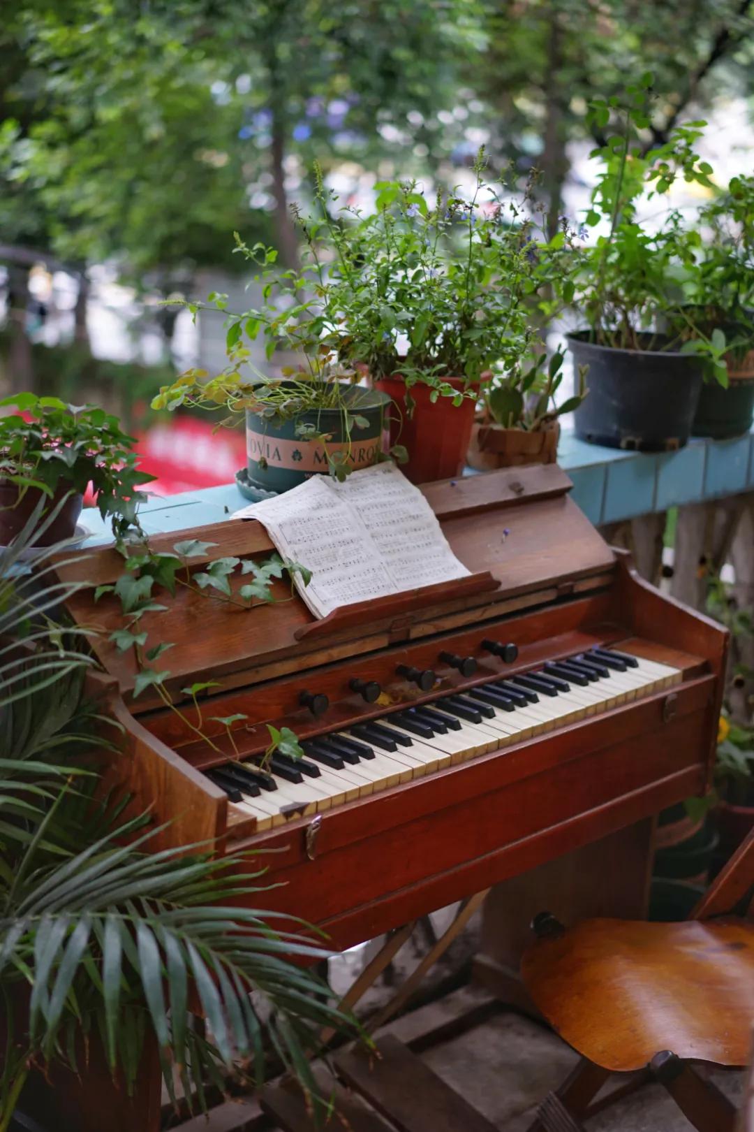 成都两个小姑娘开的老房子花艺杂货铺，外地游客不远千里专程打卡