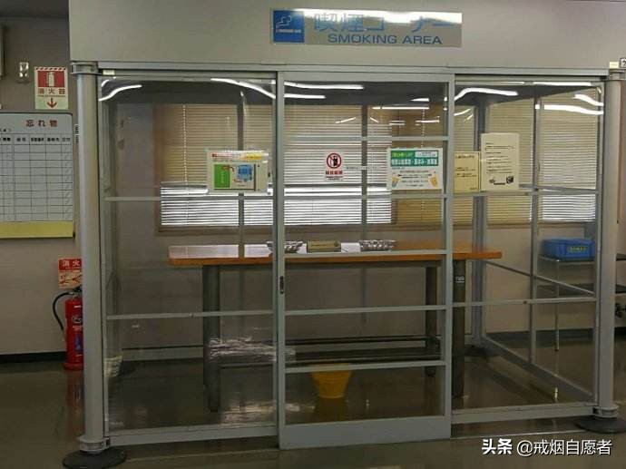 日本平成年代20年,日本最新控烟政策