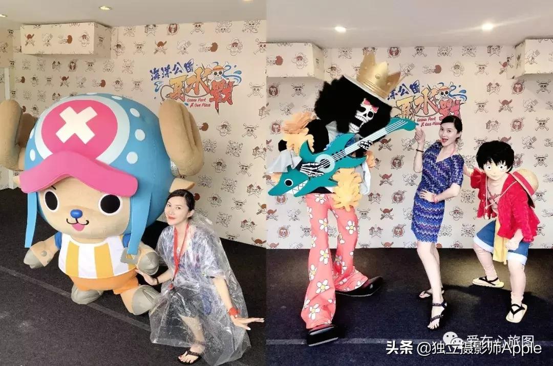 香港海洋公园自由行游玩攻略,香港旅游攻略香港海洋公园