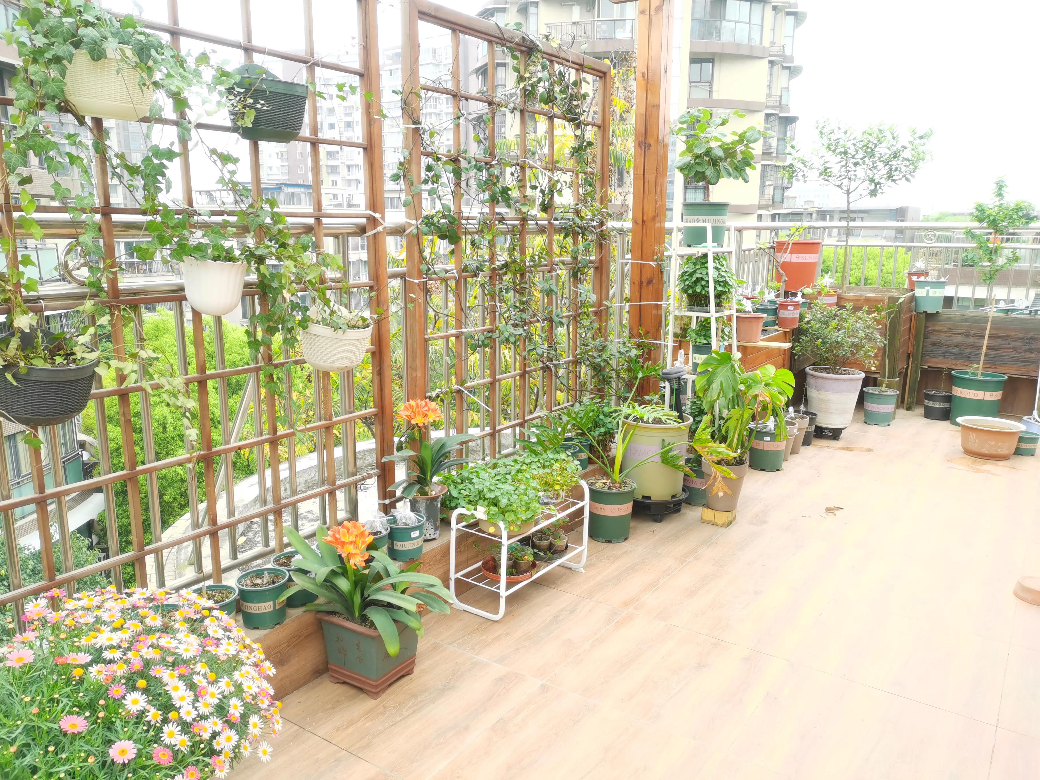 这才是楼顶花园该有的样子,楼顶花园如何出效果