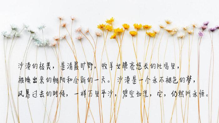 你是我无法企及的梦下一句,你是我不可触碰的梦句子