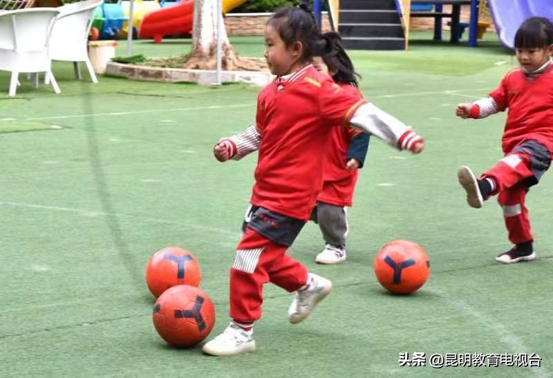 枫林盛景幼儿园学费,枫林盛景附近幼儿园